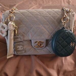 Authentic Chanel Chic Accordion Iridescent Flap Bag